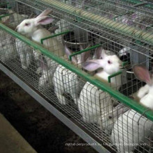 Кролик Сельхозтехники Поставка Фабрики 